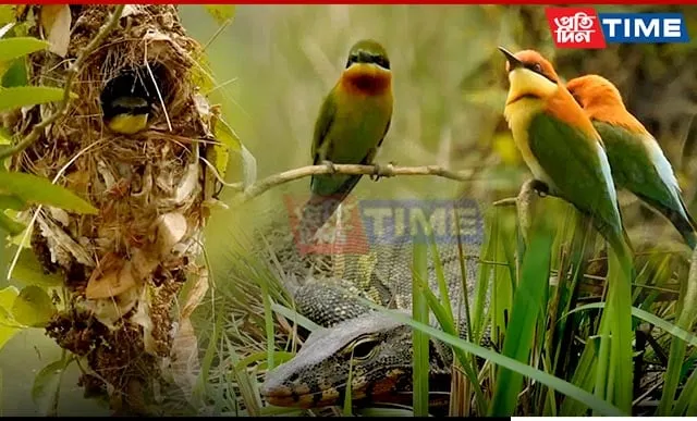 International Day for Biological Diversity: Be ‘Part of the Plan'  